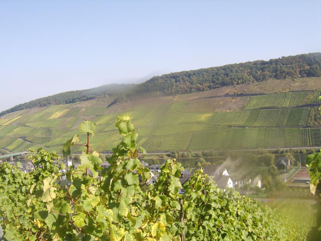 Weingut Matthias Dauns Apartment Reil Exterior foto