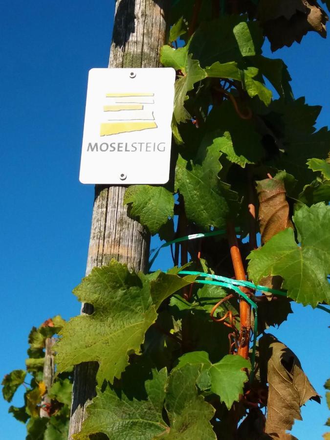Weingut Matthias Dauns Apartment Reil Exterior foto