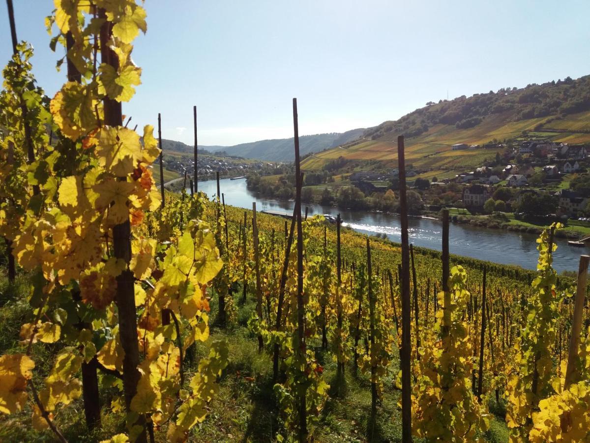Weingut Matthias Dauns Apartment Reil Exterior foto